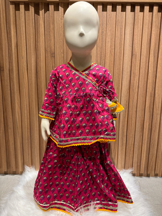 Pink Angrakha with Skirt