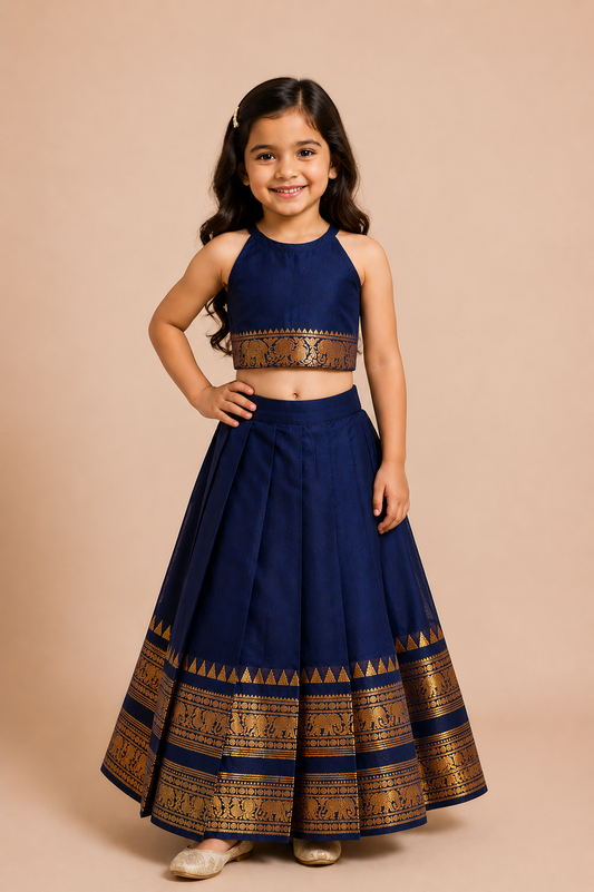 Navy Zari Border Top with Pleated Skirt