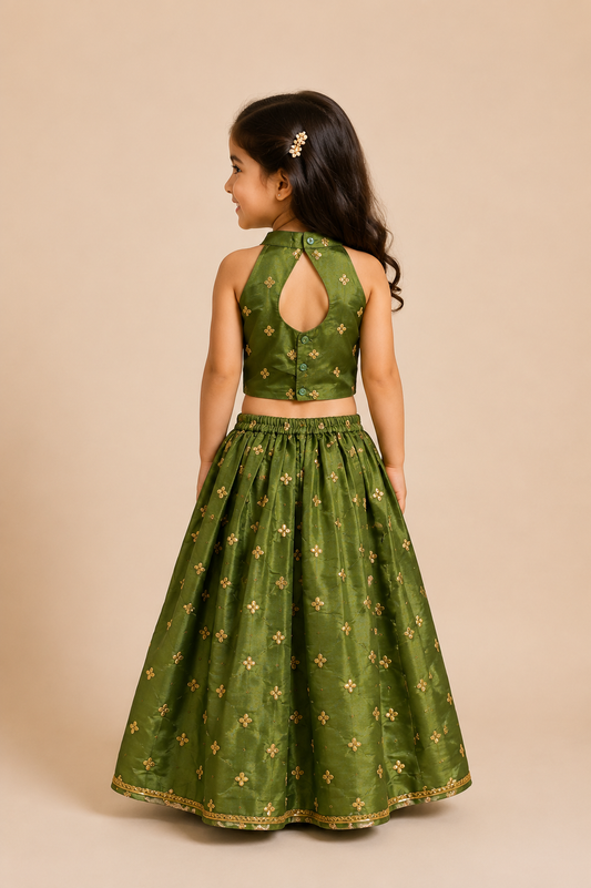 Parrot Green Embroidery Lehenga